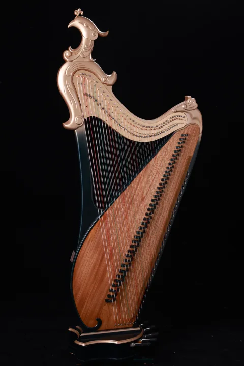 1768897490236295.png 7e3ecdbd21204e02b3e51407748b1689.png